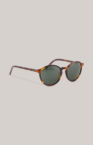 Brown/Green Sunglasses